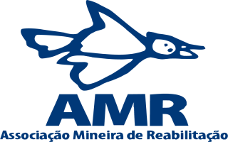 Associação Mineira de Reabilitação - AMR311